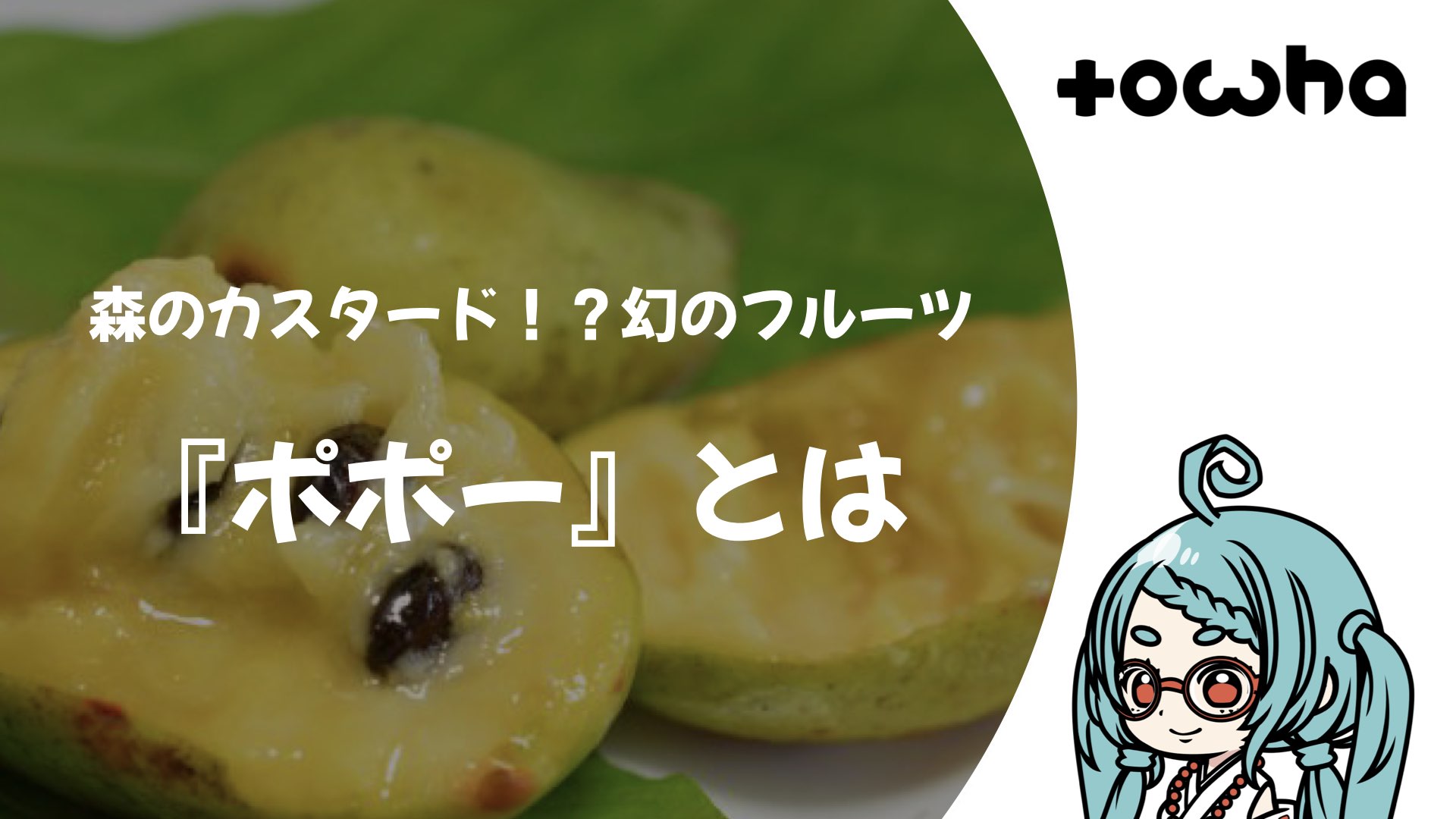 『ポポー』とは